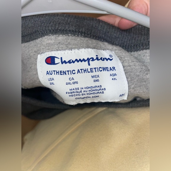 Gray Champion Crewneck - Picture 2 of 3